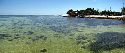 Key West: Higgs Beach Park