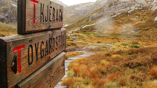 norway t