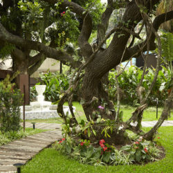 Hotel Santa Teresa Rio MGallery by Sofitel - Jardim principal_IMPRENSA