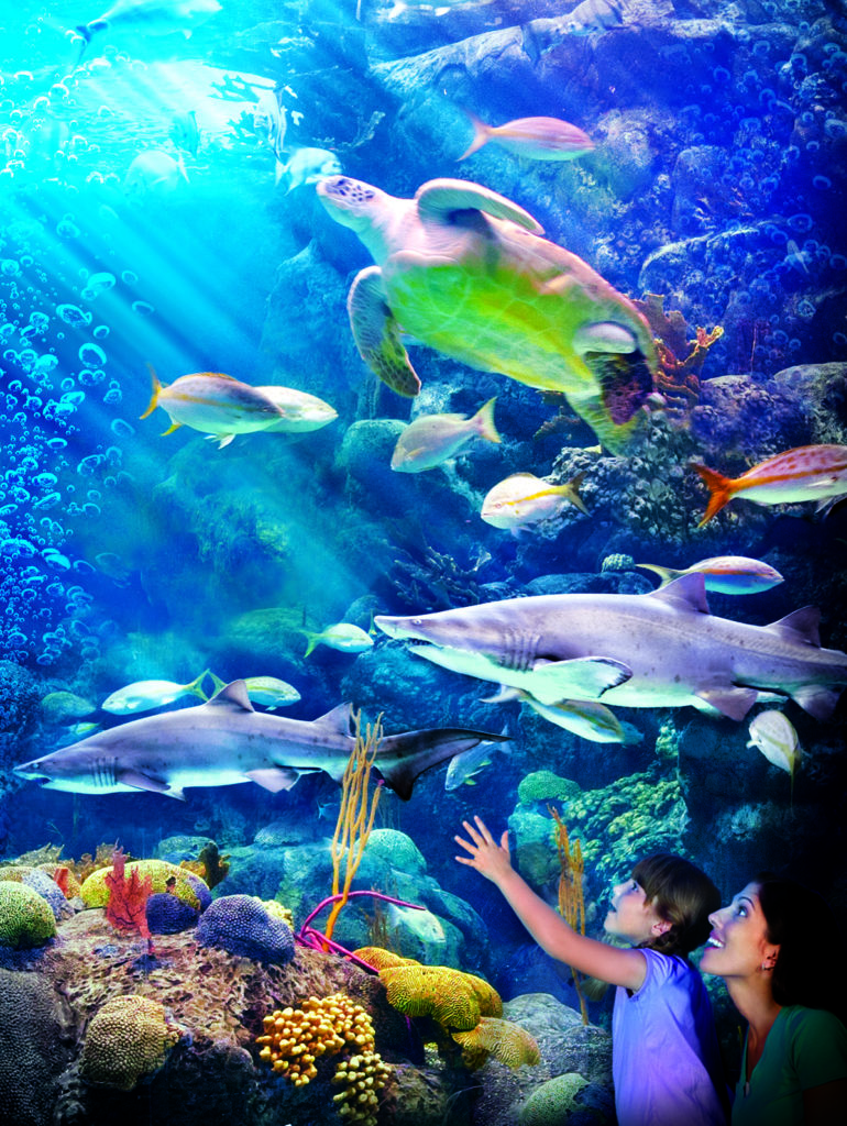 The Florida Aquarium