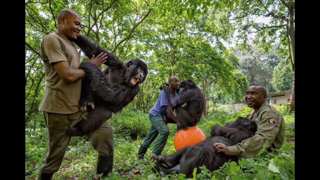 8-documentarios-imperdiveis-para-assistir-na-netflix 8-documentarios-imperdiveis-para-assistir-na-netflix