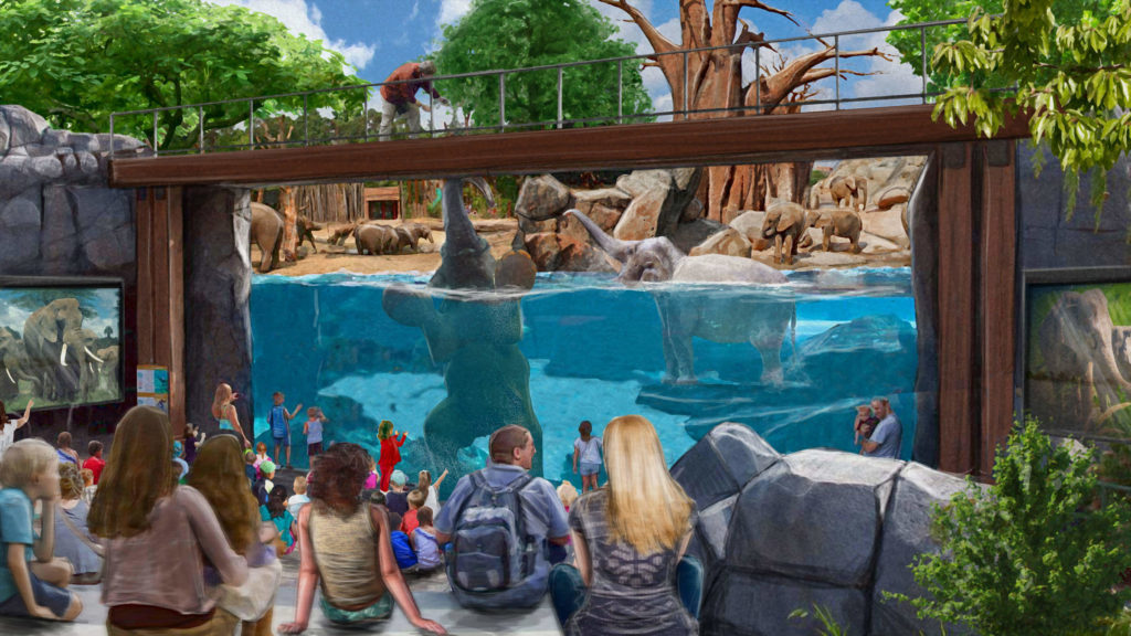 com-foco-em-conservacao-bioparque-do-rio-e-nova-opcao-turistica com-foco-em-conservacao-bioparque-do-rio-e-nova-opcao-turistica