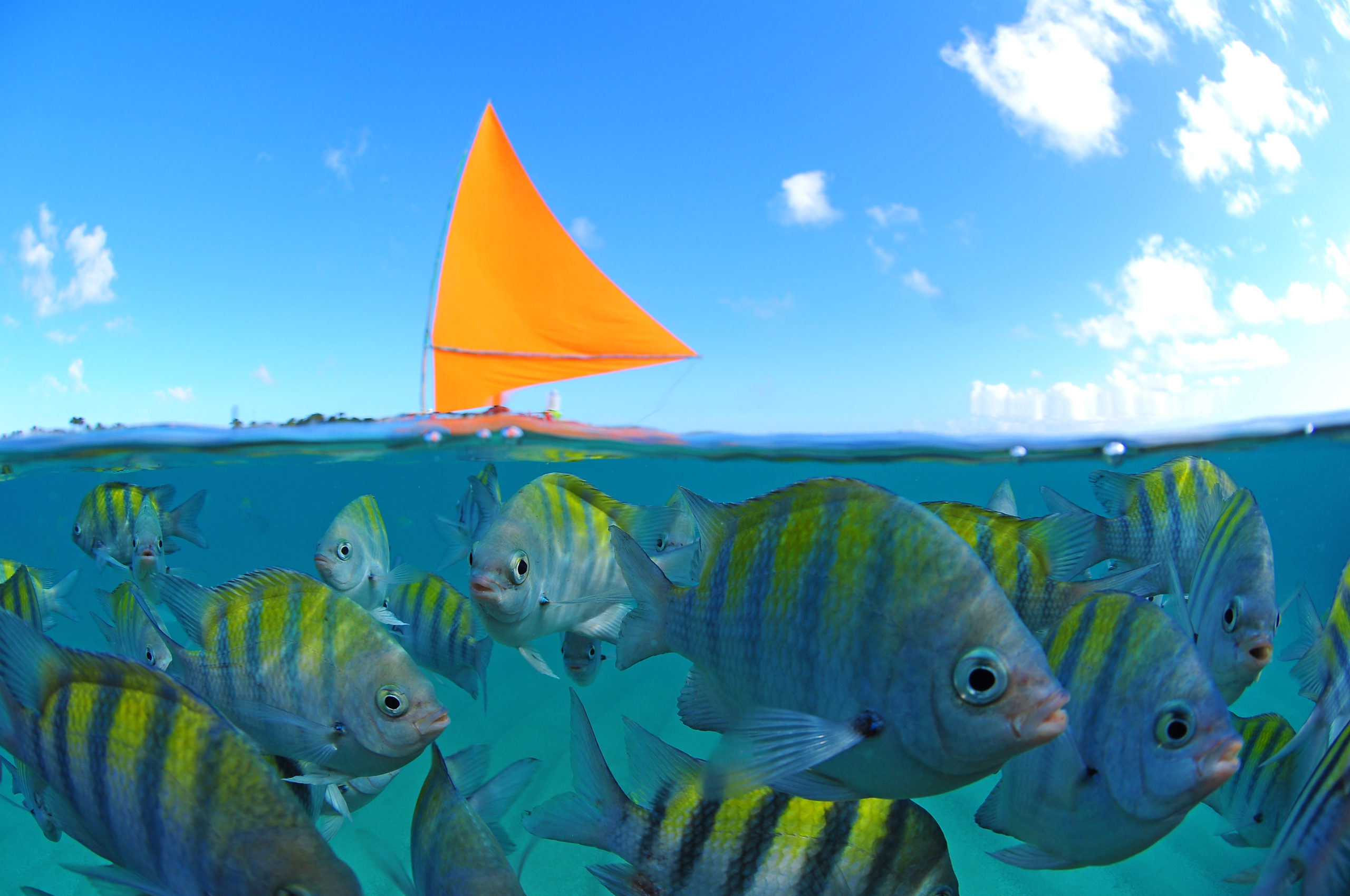 porto-de-galinhas-turismo