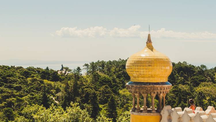 Parques de Sintra lança concurso de fotografia para amadores e profissionais