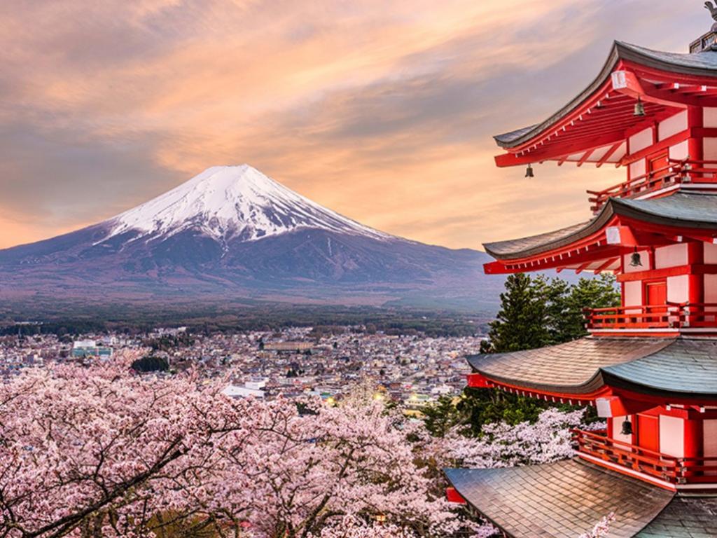 Razões para visitar o Japão depois da pandemia: Ecoturismo nos quatro patrimônios naturais da Unesco