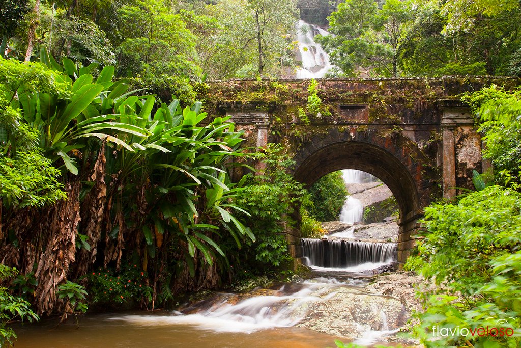Parque Nacional da Tijuca, no Rio, autoriza acesso a mais atrações 