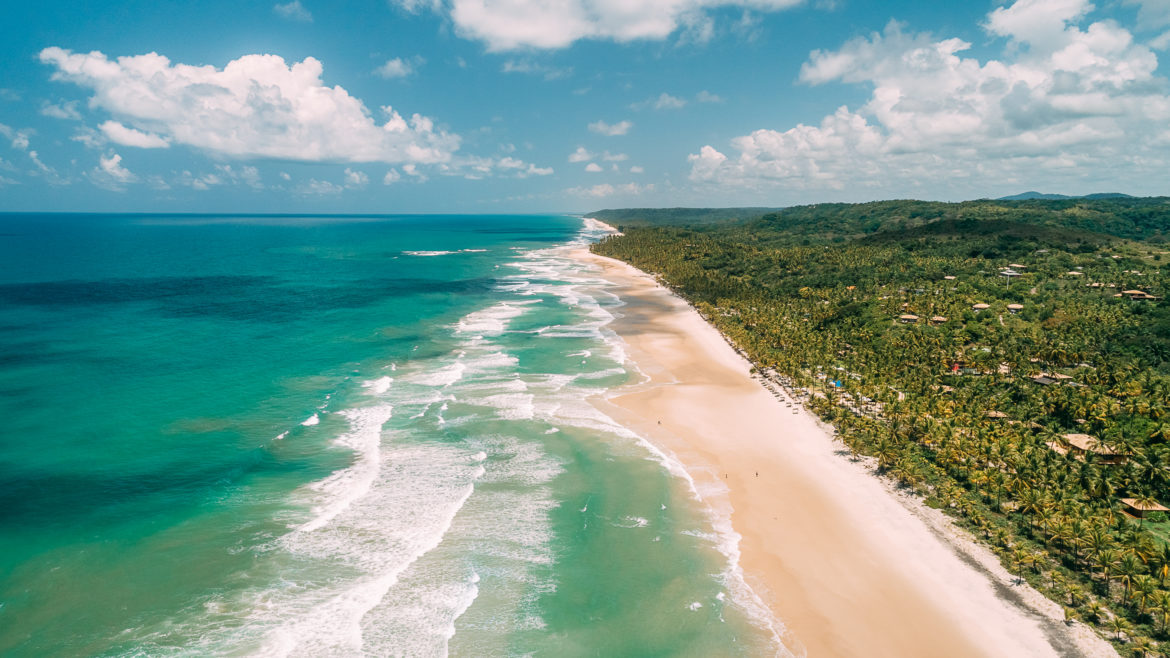 Tartarugas marinhas: coleção da Shorts Co. tem inspiração e renda para projeto de Itacaré (BA) 