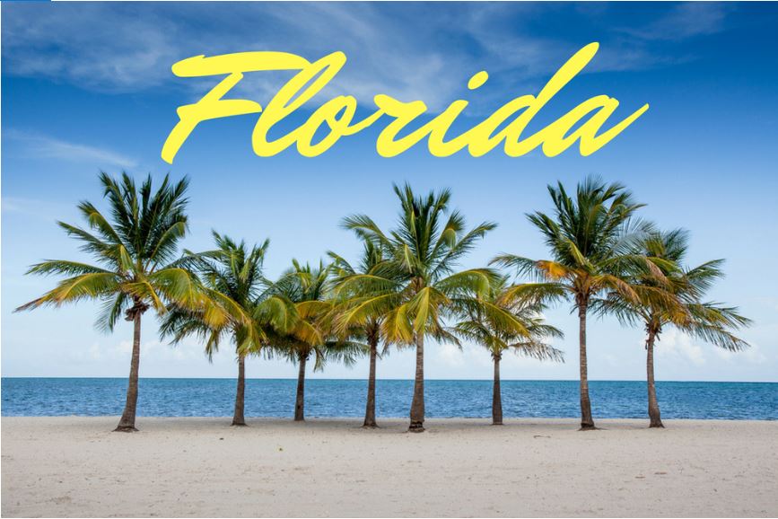 Visit Florida anuncia novidades para 2021