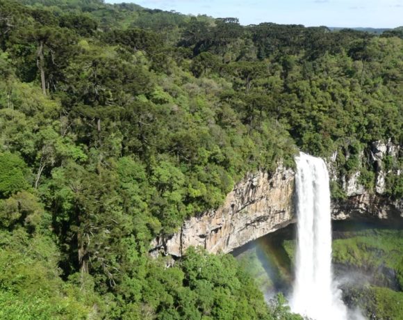 Brocker Turismo retoma passeio histórico na Serra Gaúcha