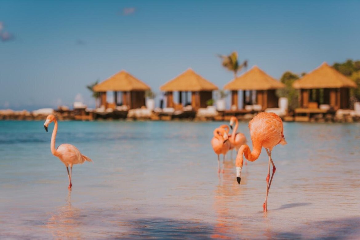 Aruba reabre fronteiras para brasileiros