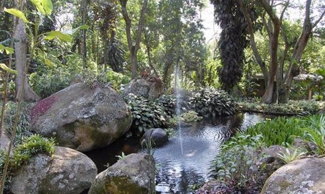 Sítio Burle Marx (RJ) é reconhecido Patrimônio Cultural Mundial