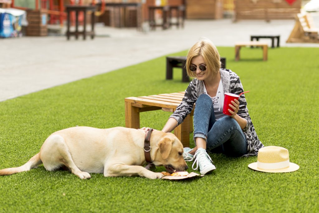 Accor adota política pet friendly em 300 hotéis pelo Brasil