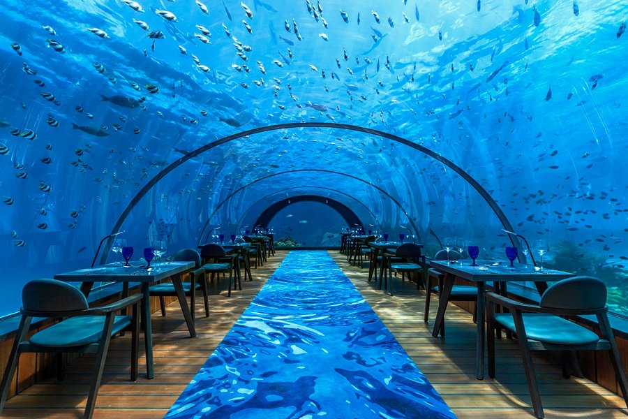 Você pode assistir a uma ópera debaixo d'água neste resort de luxo nas Maldivas