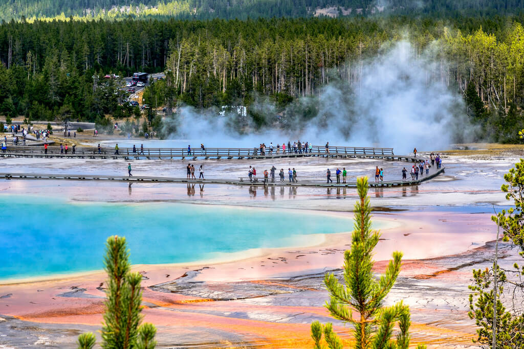Parque Nacional de Yellowstone bate novo recorde de visitantes