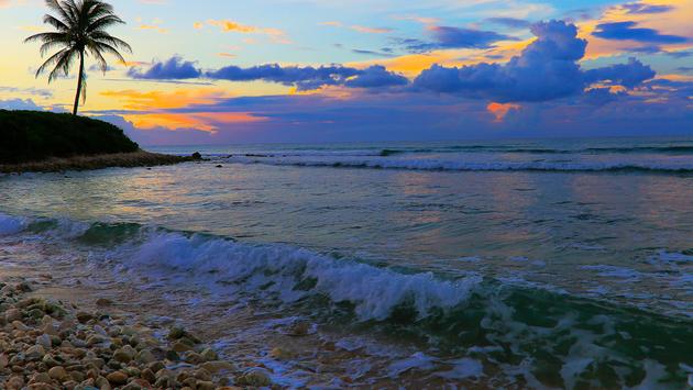 Jamaica ganha três prêmios no World Travel Awards Caribe e Américas 2022
