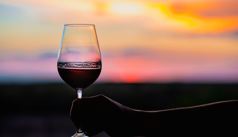 Conhecendo os tipos de vinhos