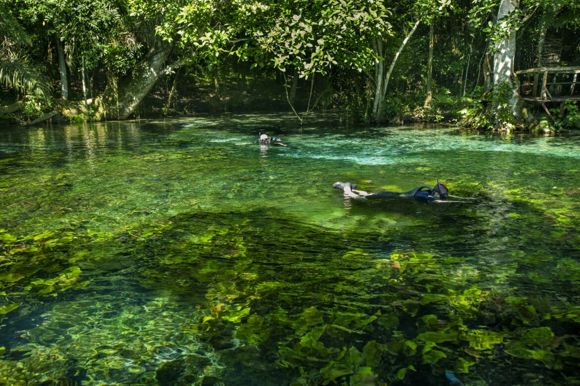 Bonito o ano inteiro: saiba como é cada estação no destino do Mato Grosso do Sul